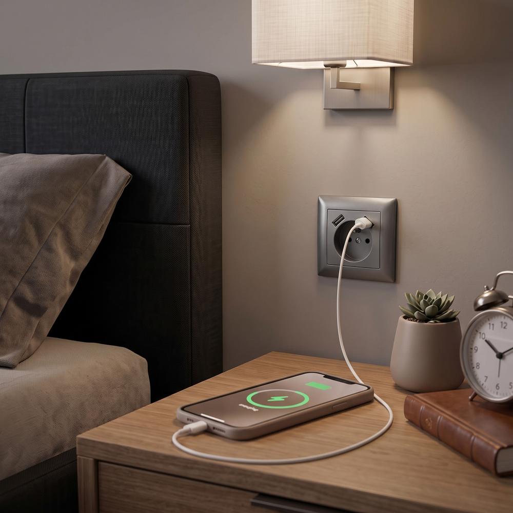 Ühekohaline maandusega pistikupesa + 2x USB-A OSTE JNH003-G Grey