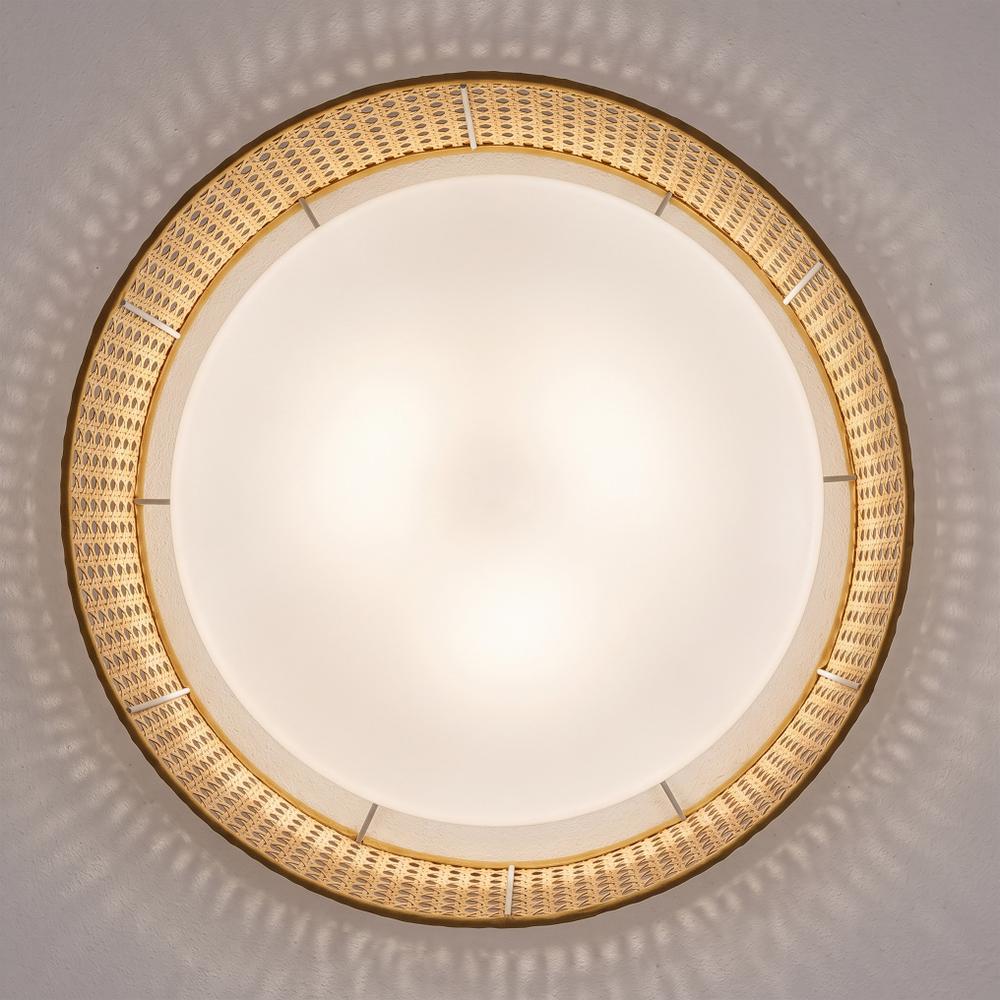 Lampa sufitowa plafon APP1934-C 50cm