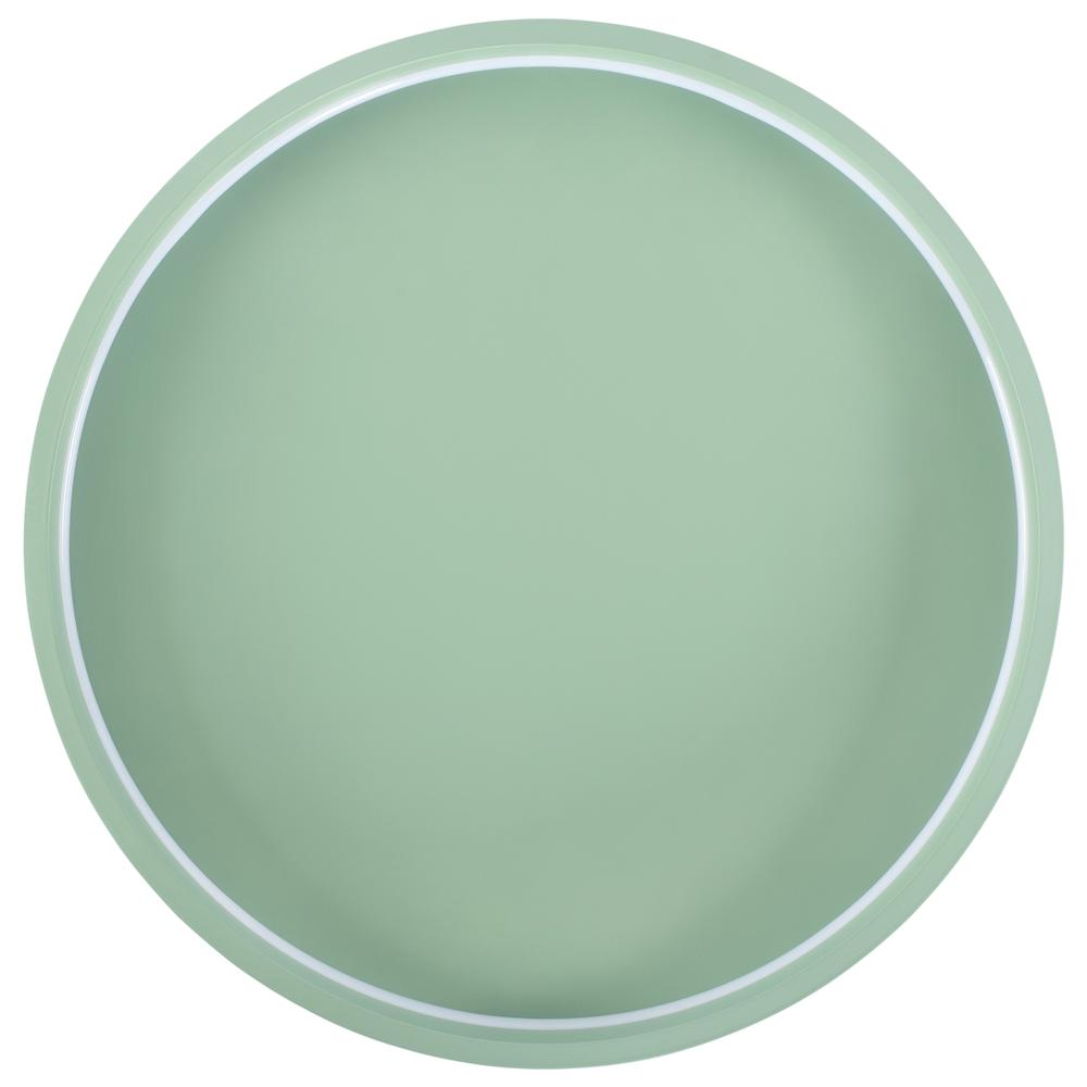 Takplafond APP1463