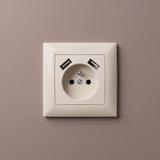 Single grounded socket with frame + 2x USB-A OSTE JNH003-G Beige
