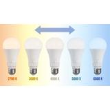 LED-lampa 5 ljusfärger GLS E27 230V 13W 5CCT