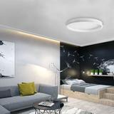 Takplafond APP1462