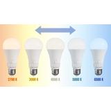 LED-lampa 5 ljusfärger GLS E27 230V 10W 5CCT