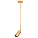 HÄNGENDE TAKLAMPA APP610-1C Guld