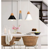 Taklampa SCANDI B APP058-1CP Vit
