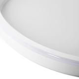 Takplafond APP1462
