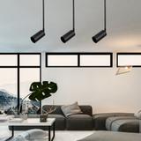 TAKLAMPA HÄNGANDE APP609-1C Svart