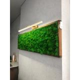 LED-vägglampa Gold 60cm APP834-1W
