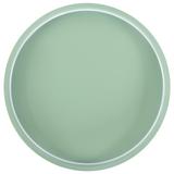 Takplafond APP1463