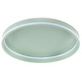 Takplafond APP1463