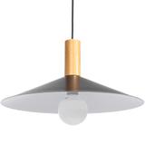 Taklampa Hängande APP1084-1CP