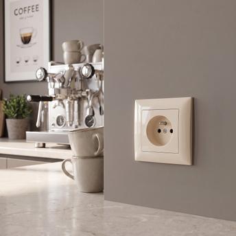 Единичен контакт със заземяване и рамка OSTE JNH001-G Beige