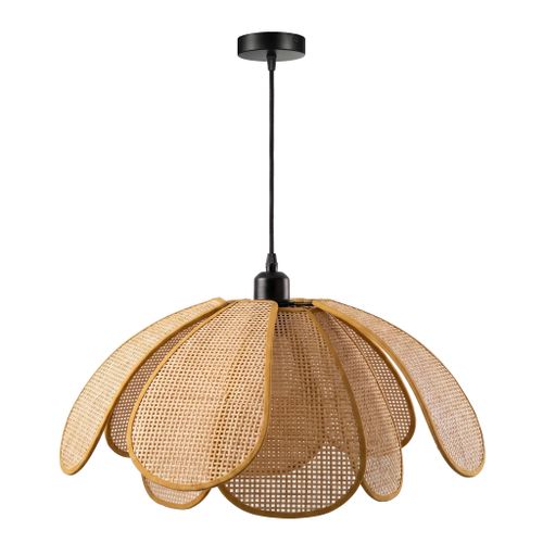 Hanglamp APP1954-1CP