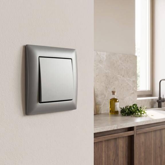 Single Switch with Frame OSTE JNH006-W GREY